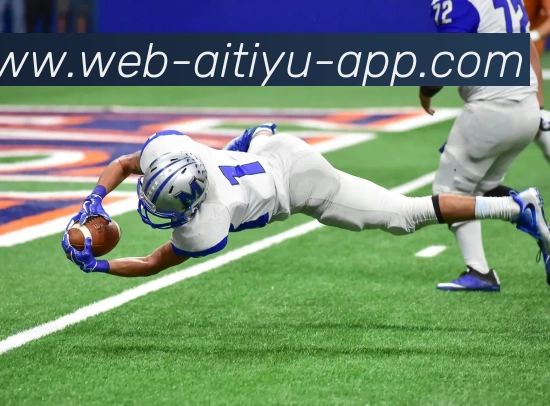 多媒体互动体验